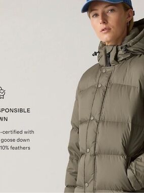 Quince responsible down Faded Green Long Hooded Puffer Coat M